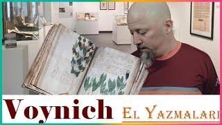 Voynich El Yazmalarının Sırrı Çözülmüş Ne Saçmalık Ama