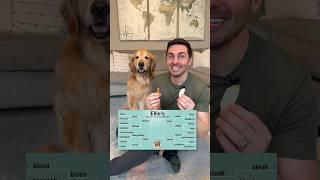 The Ultimate Dog Taste Tournament Championship