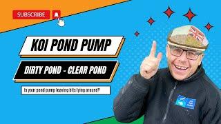 Clear Your Koi Pool Essential Koi Pond Pump Exchange