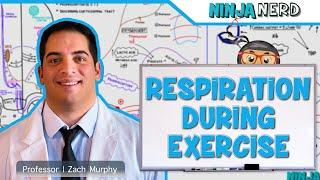 Respiratory  Respiration During Exercise