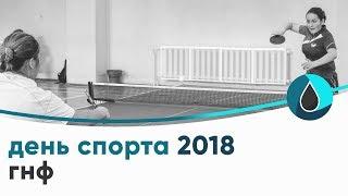 День спорта ГНФ 2018