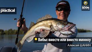 Вибы вместе или вместо минноу. Алексей Шанин. Anglers Practical