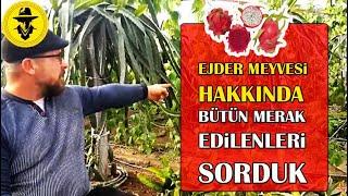 EJDER MEYVESİ YETİŞTİRİCİLİĞİ BAKIM PAZARLAMA FAYDASI