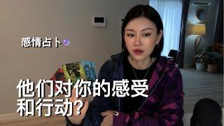 他们对你的感受和行动？他们不想失去你但是。。。【无限时感情占卜】