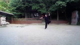 Wudang Qi Xing Jian Seven Star Sword