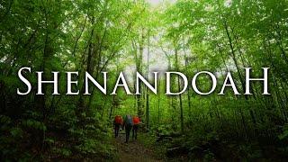 Shenandoah National Park in 4K  Backpacking Hiking & Camping Virginia