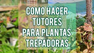 COMO HACER TUTORES PARA PLANTAS TREPADORAS  Jardín Suculento