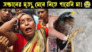 দুর্ভাগা কথা বলা এক শালিক পাখির জীবন কাহিনী  Bird Story-181  The life story of Shawl Bird  Ep11