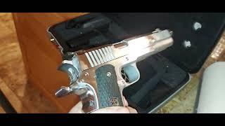 Double Barrel 45 Caliber Pistol Prismatic