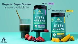 Organic SuperGreens Mango and Berry  Ancient Nutrition