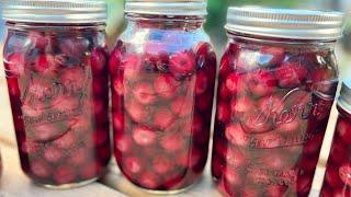 Easiest Way Of Canning Cherries - My Grandma Taught Me This