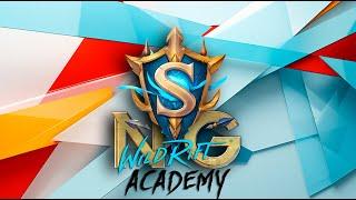 SNG Academy  2 сезон  Разбор с Топ-донатером прошлой недели. Подводим итоги новых Топ-донатеров.