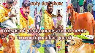 എന്റമ്മോ എത്ര വെറൈറ്റി ഡോഗ്സ് ..Ooty Dog Show2022..#leashtalks #dogshow