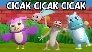 Cicak Cicak Cicak  Lagu Anak Indonesia Viral