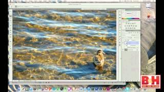 An Introduction to Photoshop CS6 - Learning the Basics of Photo Manipulation