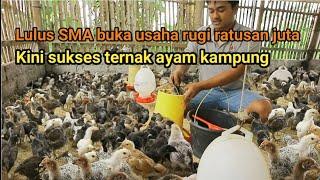 LULUS SMA LANGSUNG BUKA USAHA DAN RUGI RATUSAN JUTA SEKARANG SUKSES TERNAK AYAM KAMPUNG