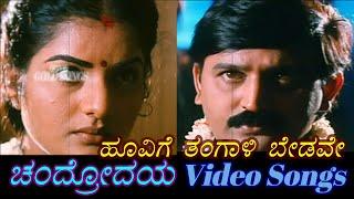 Hoovige Thangali Bedave - Chandrodaya - ಚಂದ್ರೋದಯ - Kannada Video Songs