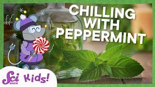 Why Does Peppermint Taste So Cold?  SciShow Kids