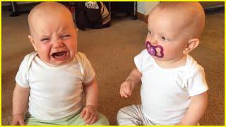 1001 Funny Twin Babies Playing Together  Peachy Vines