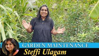 Garden maintenance Vlog in Tamil  My weekend work in the Garden