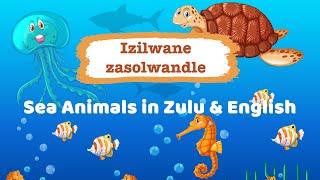 Izilwane zasolwandle - Sea Animals in Zulu & English