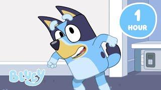 LIVE Hang Out with the Heelers   Play with Bluey and Friends  Bluey