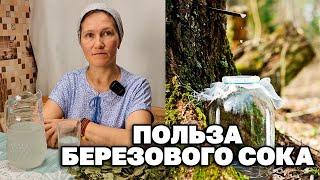 ЦЕЛЕБНЫЙ СОК ЧЕМ ПОЛЕЗЕН ? ЧТО СОДЕРЖИТ СОК БЕРЕЗЫ?@natureMarusya