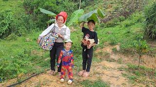 Plant Sweet Potatoes GO TO SCHOOL PICK UP My daughters Second Summer School