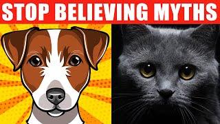 24 Pet Myths You Should Stop Believing