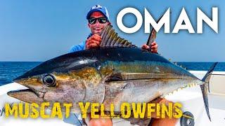 GSA - Thunfischangeln im Oman  Epic Topwater Fishing for Yellowfin Tuna - Muscat Oman