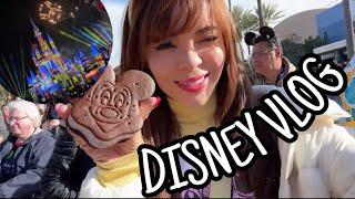 VIAJAMOS A DISNEY  Vlogsemanal #5 #disneyland