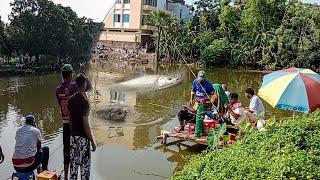 ১৩০০০ টাকায় বিশাল জোড়া মাছ খেলানো ও টান দেখে অবাক আপনিও