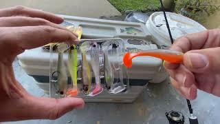 TRUSCEND Pre-Rigged Jig Head Soft Fishing Lures  REVIEW