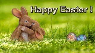 Happy Easter greetings Video – Have a nice Easter - Greeting Cards for WhatsApp