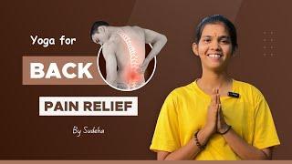 Yoga For Back Pain  How to Manage Back Pain  Sudeha Yoga