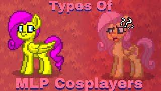 Types Of MLP Cosplayers On Pony Town