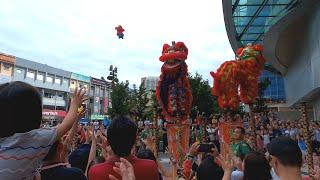 CNY 2020  Acrobatic Lion Dance 双狮高桩表演 Múa Lân by Khuan Loke 群樂 @ The Starling 122020 4k