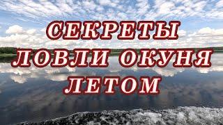 СЕКРЕТЫ ЛОВЛИ ОКУНЯ летом Когда ЛУЧШЕЕ Время для рыбалки на окуня