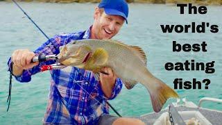 Cooking Coral Trout Nuggets on Paradise Islands  Fishing the Wild NT Ep.3