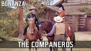 Bonanza - The Companeros  Episode 163  Cult Western Series  Free Western  English