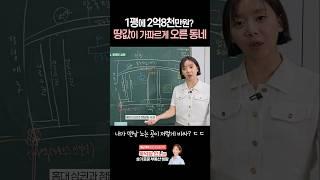 그 사이 신고가 찍었습니다..압구정로데오 평당 3억의 시대