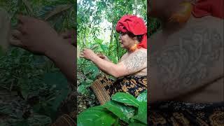 mencari Abg Dedi di hutan