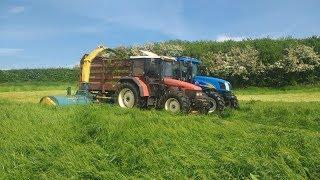 Silage 2017  Kidd Double Chop