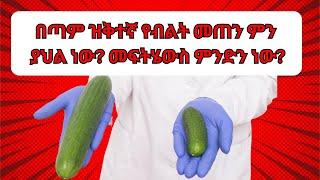 በጣም ዝቅተኛ የወንድ ብልት መጠን ምን ያህል ነው? መፍትሄውስ ምንድን ነው?