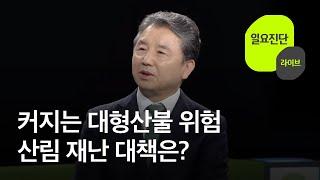 커지는 대형산불 위험…산림 재난 대책은? 일요진단 라이브  KBS  2024.04.28.