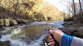 Wild TROUT Fishing with Spinners in Creek