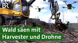 Im Wald Bäume säen Harvester und Drohne im Einsatz  Agrartechnik  Forstmaschine  Unser Land  BR