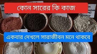 কোন সারের কি কাজ? ছাদের গাছ শক্তিশালী সবুজ ও ফলবান করে তুলুন। #ChemicalFertilizer