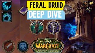 WoW TBC Feral Druid Quick Deep Dive