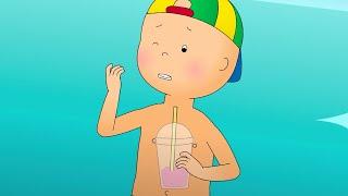 Caillou and the Beach Holiday  Caillou Cartoon